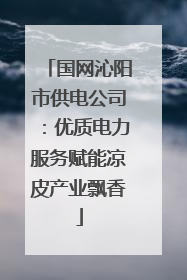 国网沁阳市供电公司：优质电力服务赋能凉皮产业飘香