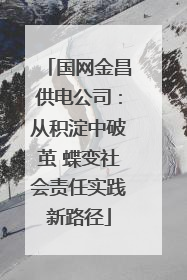 国网金昌供电公司：从积淀中破茧 蝶变社会责任实践新路径