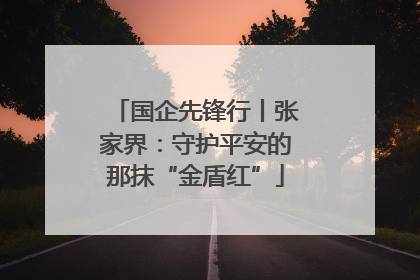 国企先锋行丨张家界：守护平安的那抹“金盾红”