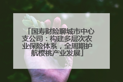 国寿财险聊城市中心支公司：构建多层次农业保险体系，全周期护航樱桃产业发展