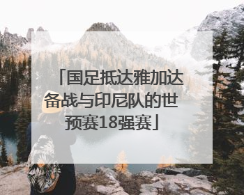 国足抵达雅加达备战与印尼队的世预赛18强赛