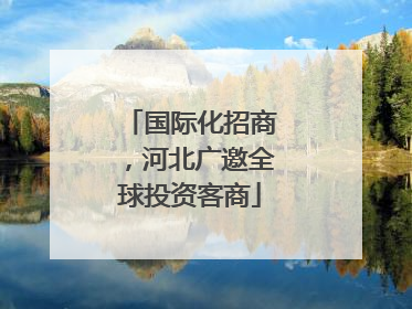 国际化招商，河北广邀全球投资客商
