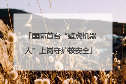 国际首台“壁虎机器人”上岗守护核安全