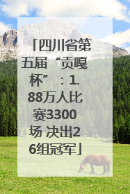 四川省第五届“贡嘎杯”：1.88万人比赛3300场 决出26组冠军