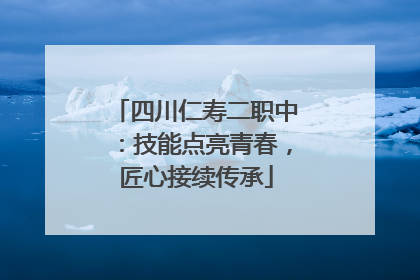 四川仁寿二职中：技能点亮青春，匠心接续传承