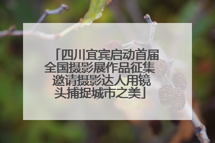 四川宜宾启动首届全国摄影展作品征集 邀请摄影达人用镜头捕捉城市之美