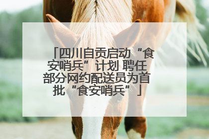 四川自贡启动“食安哨兵”计划 聘任部分网约配送员为首批“食安哨兵”
