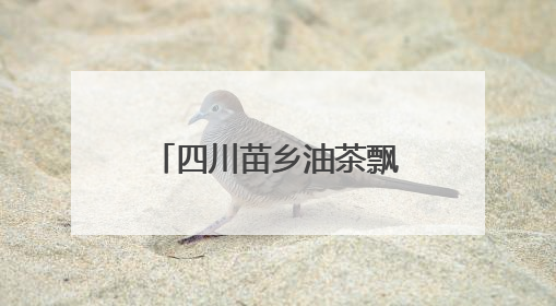 四川苗乡油茶飘香 民族类资金助力乡村振兴