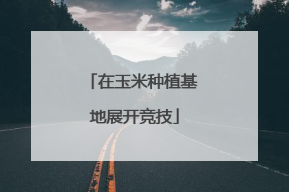 在玉米种植基地展开竞技