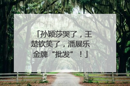 孙颖莎哭了，王楚钦笑了，潘展乐金牌“批发”！