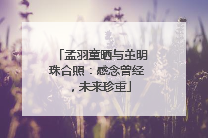 孟羽童晒与董明珠合照：感念曾经，未来珍重