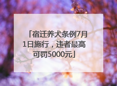 宿迁养犬条例7月1日施行，违者最高可罚5000元