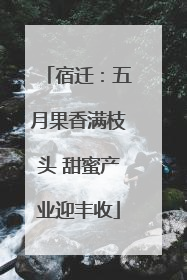 宿迁：五月果香满枝头 甜蜜产业迎丰收
