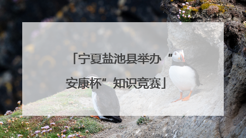 宁夏盐池县举办“安康杯”知识竞赛