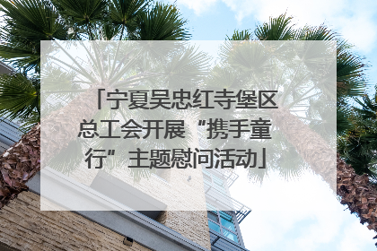 宁夏吴忠红寺堡区总工会开展“携手童行”主题慰问活动