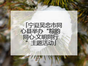 宁夏吴忠市同心县举办“粽韵同心·文明同行”主题活动