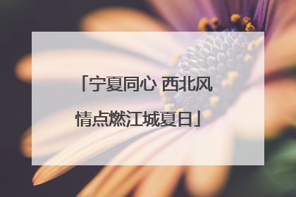 宁夏同心 西北风情点燃江城夏日