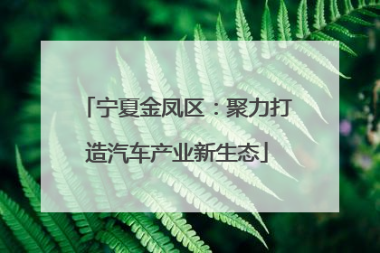 宁夏金凤区：聚力打造汽车产业新生态