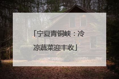 宁夏青铜峡：冷凉蔬菜迎丰收