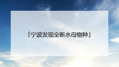 宁波发现全新水母物种