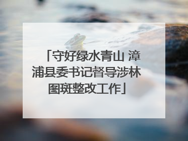 守好绿水青山 漳浦县委书记督导涉林图斑整改工作