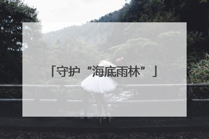 守护“海底雨林”