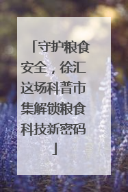 守护粮食安全，徐汇这场科普市集解锁粮食科技新密码