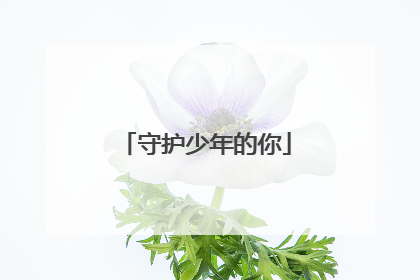守护少年的你