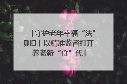 守护老年幸福“法”则⑮丨以精准监督打开养老新“食”代