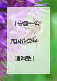 安徽一省属国企总经理调整