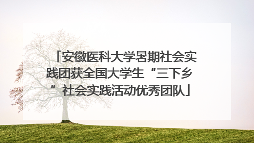安徽医科大学暑期社会实践团获全国大学生“三下乡”社会实践活动优秀团队