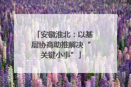 安徽淮北：以基层协商助推解决“关键小事”