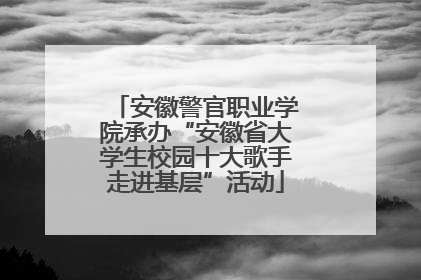 安徽警官职业学院承办“安徽省大学生校园十大歌手走进基层”活动