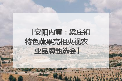 安阳内黄：梁庄镇特色蔬果亮相央视农业品牌甄选会