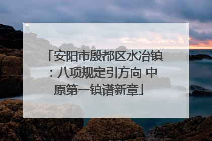 安阳市殷都区水冶镇：八项规定引方向 中原第一镇谱新章