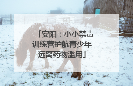 安阳：小小禁毒训练营护航青少年远离药物滥用
