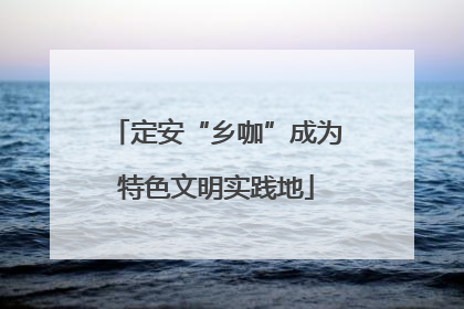 定安“乡咖”成为特色文明实践地