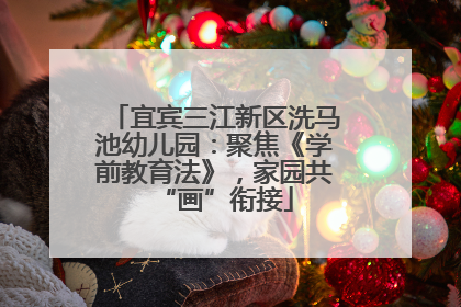 宜宾三江新区洗马池幼儿园：聚焦《学前教育法》，家园共“画”衔接