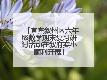宜宾叙州区六年级数学期末复习研讨活动在叙府实小顺利开展
