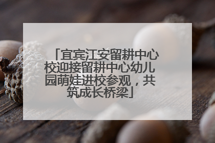 宜宾江安留耕中心校迎接留耕中心幼儿园萌娃进校参观，共筑成长桥梁