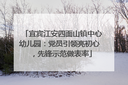 宜宾江安四面山镇中心幼儿园：党员引领亮初心，先锋示范做表率