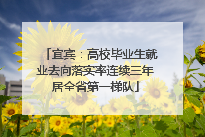 宜宾：高校毕业生就业去向落实率连续三年居全省第一梯队