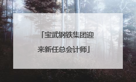 宝武钢铁集团迎来新任总会计师