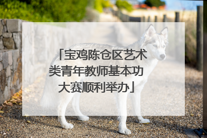 宝鸡陈仓区艺术类青年教师基本功大赛顺利举办