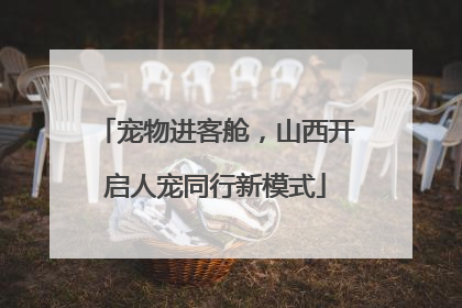 宠物进客舱，山西开启人宠同行新模式