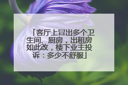 客厅上冒出多个卫生间、厨房，出租房如此改，楼下业主投诉：多少不舒服