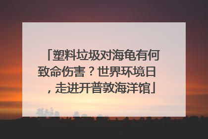 塑料垃圾对海龟有何致命伤害？世界环境日，走进开普敦海洋馆