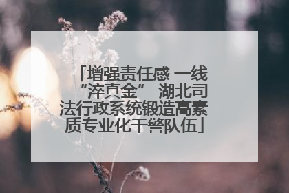 增强责任感 一线“淬真金” 湖北司法行政系统锻造高素质专业化干警队伍