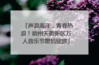 声浪海洋，青春热浪！德州天衢新区万人音乐节燃情绽放