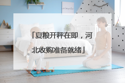 夏粮开秤在即，河北收购准备就绪